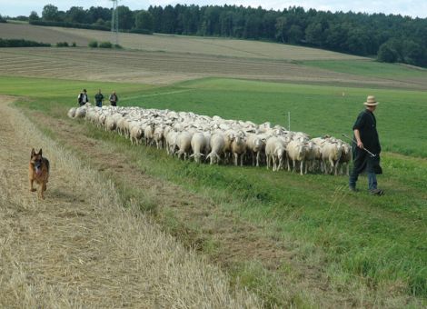 Fit für Landeswettbewerb