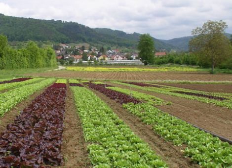 Landwirtschaft gemeinsam mit den Kunden stemmen