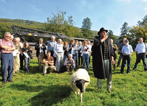 Erfolg braucht Idealismus