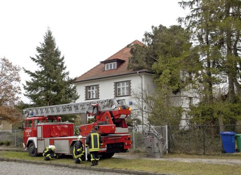 Bäume am Haus müssen sturmfest sein