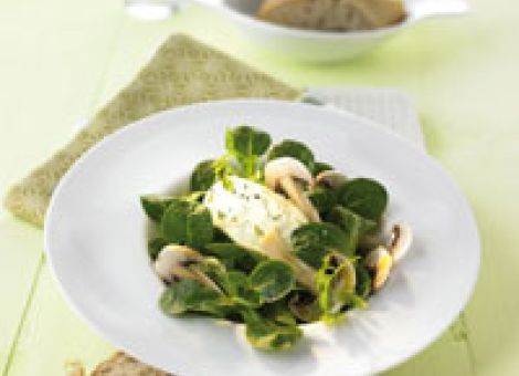 Feldsalat mit  gehobelten Champignons