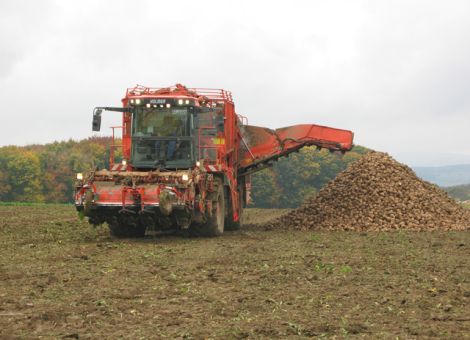 Sonnige Oktobertage versüßten Rübenbauern die Ernte