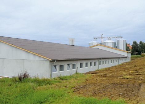 Neuer Sauenstall in Kirtorf-Wahlen