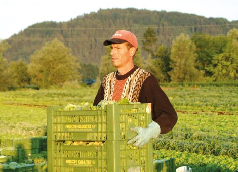 Arbeitserlaubnispflicht für Rumänen und Bulgaren bleibt