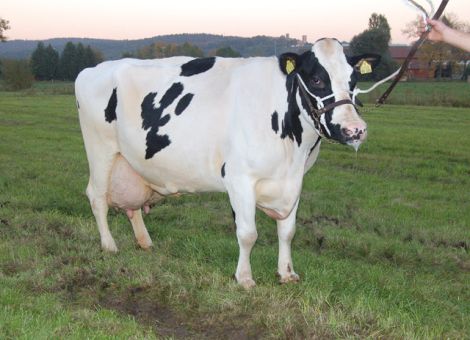 Hessens zweite 150 000er