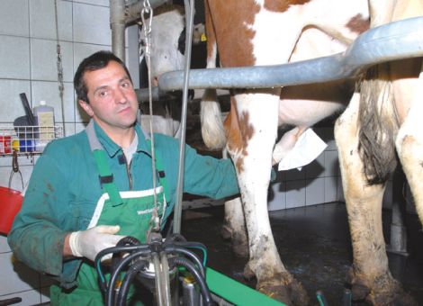 Durchschnittspreis für Deutschland bei 7 Cent