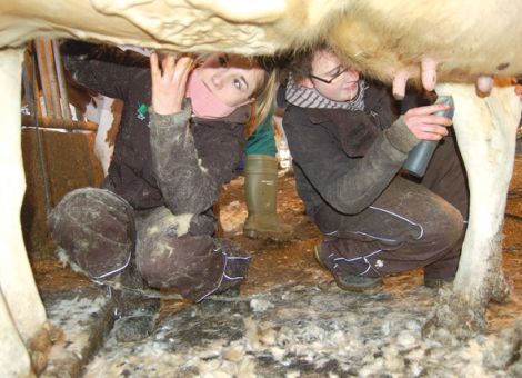 Wettbewerb der Jungzüchter