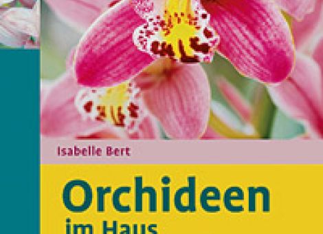 Orchideen im Haus