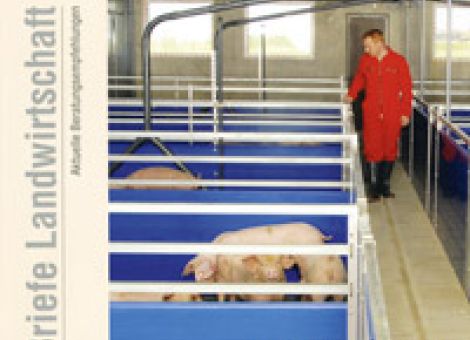 Baubrief Mastschweinehaltung