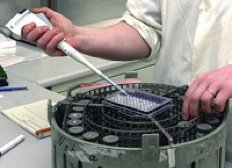 „Arbeitsplatz Melkstand“