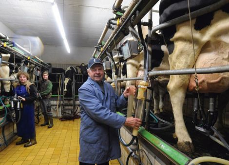 Weniger Betriebe, aber mehr Kühe gehalten