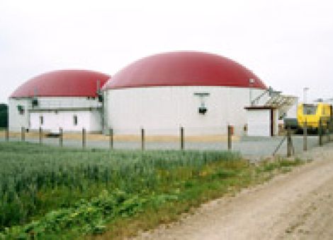Reformbedarf beim EEG in Bezug auf Biogas
