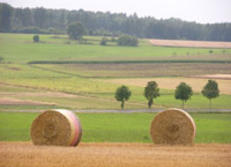 Über Förderung und Anbau im Frühjahr 2011 informiert