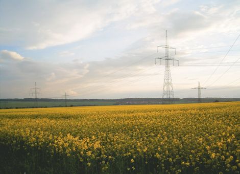 Bund und Länder wollen Greening in der Ersten Säule