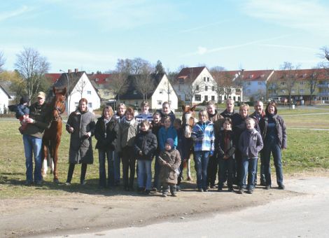 Zuchtstuten beurteilen in Theorie und Praxis