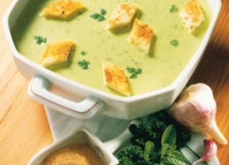 Frühlingsfrische Kräutersuppe