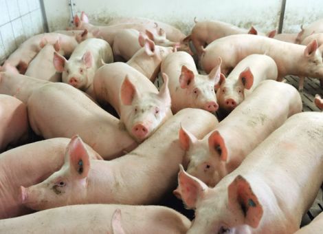 Wirtschaftlichkeit steigt durch Qualitätsprüfungen