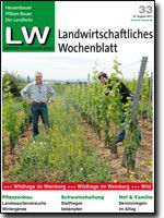 Ausgabe 33/2011 Ausgabe 33/2011