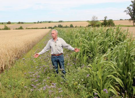 Wildtiere vor Ort fördern