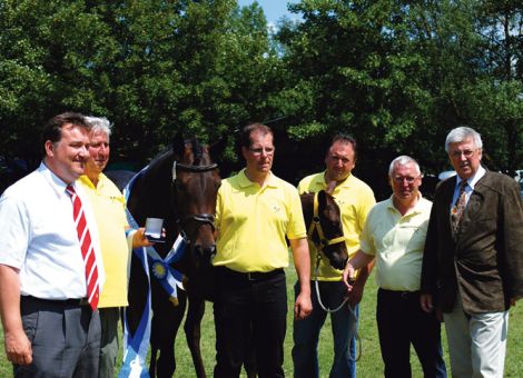Hannoversche Warmblüter