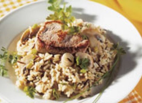 Pilz-Reis Försterart