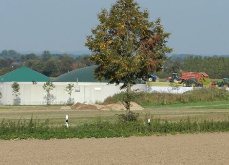 Neue Auflagen für Biogasanlagen mit Gülle?
