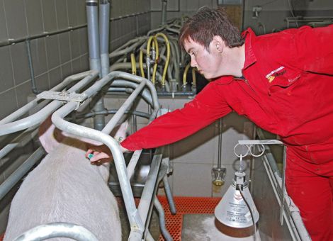 Gegen konkrete Mengenziele beim Antibiotikaeinsatz