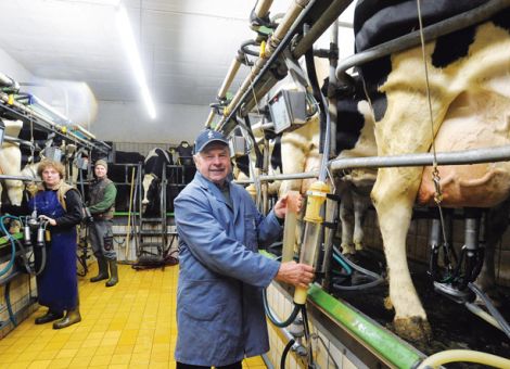 Mit 75 Kühen ebenso gut, wie mit 120 Kühen im Stall