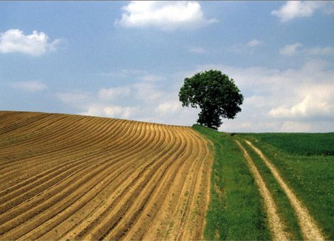 Junglandwirtefortbildung und Jungunternehmertag