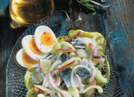 Heringssalat Störtebeker