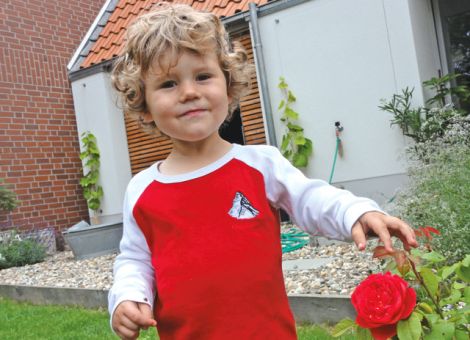 Eine Rose für Prinzen und Prinzessinnen