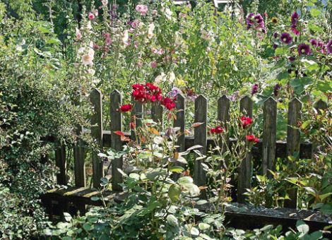 Schutz des Gartenreichs