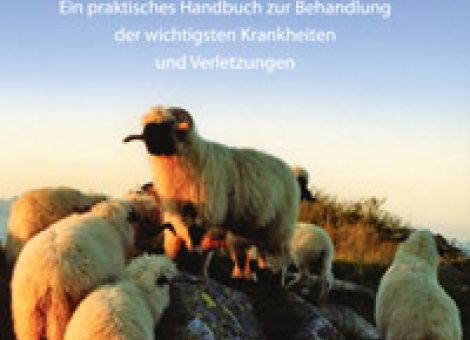 Homöopathie für Schafe