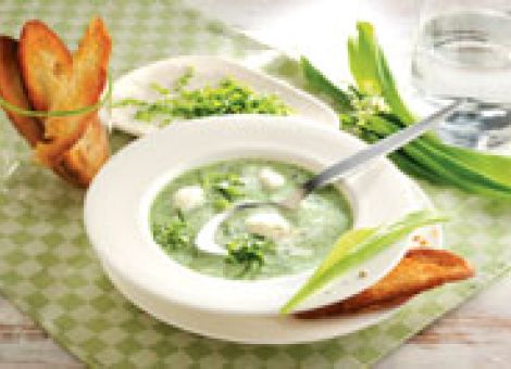 Aufgeschlagene Bärlauchsuppe