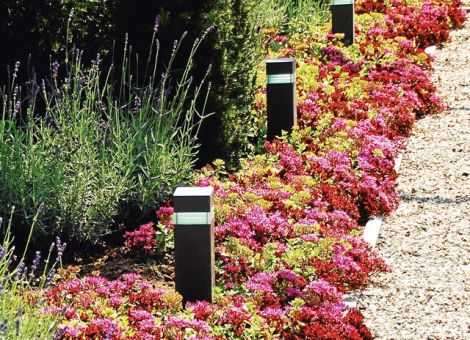 Attraktive Gartenbeleuchtungen