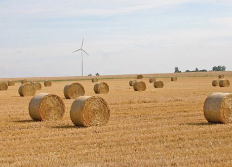 Bauern kämpfen für den Erhalt wertvoller Böden