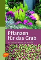 Pflanzen für das Grab – 