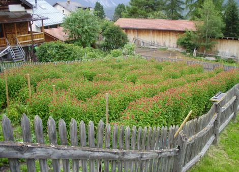Natur sucht Garten