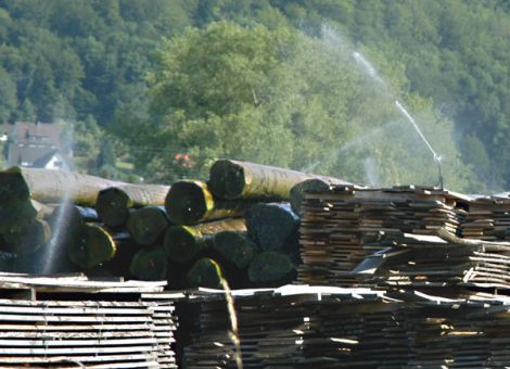 Säge- und Holzindustrie spricht ab 2013 mit einer Stimme