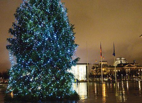 Weihnachtsbaum für Angela Merkel kommt aus Hessen