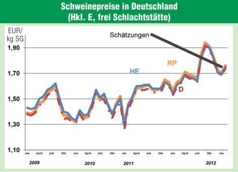 Jungbullenpreise deutlich über Vorjahr
