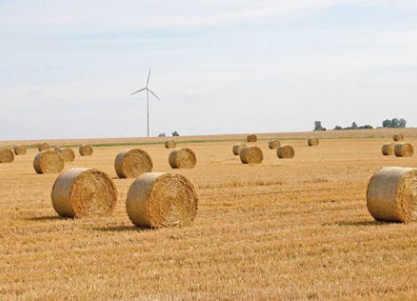 Der Euro und die Landwirte: Herausforderung annehmen