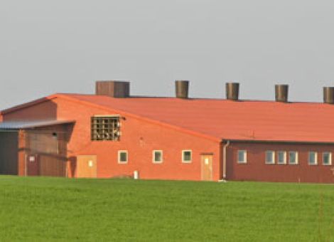 „Sie sind der Unternehmer, der alles im Griff hat“