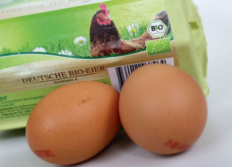 Ruf nach umfassender Aufklärung