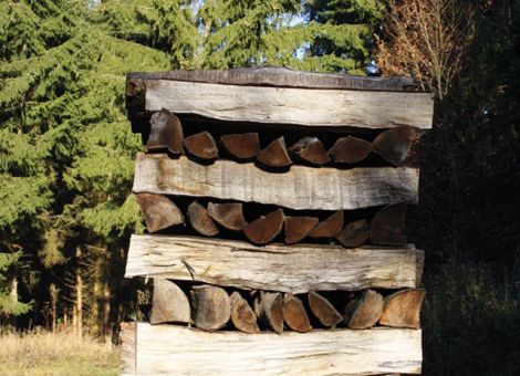 Mittels GPS-Sender gegen die Räuber im Wald