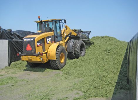 Silage: Klasse statt Masse produzieren