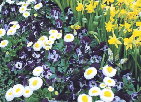 Grabpflege im Frühling