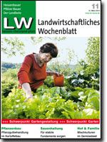 Ausgabe 11/2013