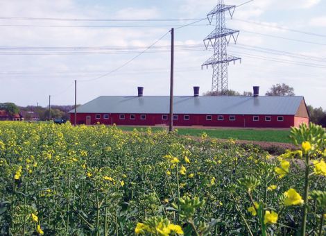 Ernähren und mit Energie versorgen