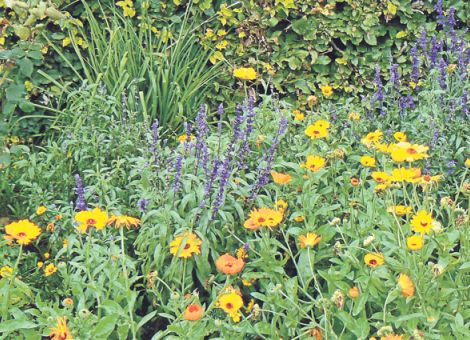 Wettlauf in den Sommer